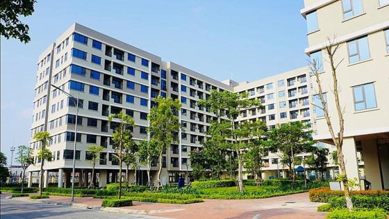 Nhà đầu tư xem xét mua nhà ở xã hội để cho thuê lâu dài